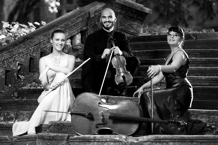 classical ensembles ( duos, trios, string quartets )