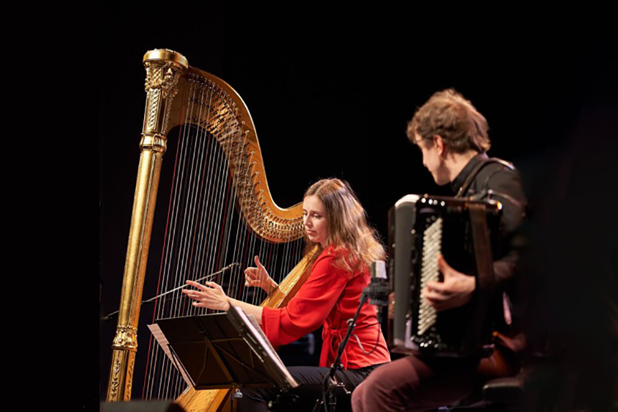 other soloists ( harpist, accordeonist )